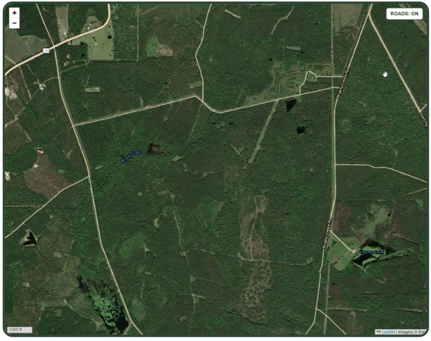 A 7,400-acre East Texas pine-country lease shown on satellite imagery before mapping.